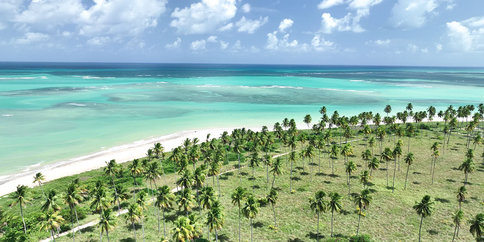 🌴 Lua de mel - Passagem